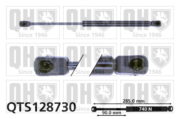 QUINTON HAZELL Gaasivedru, pagasi-/veoruum QTS128730